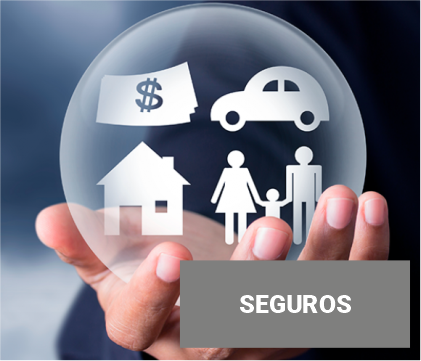 Imagem de SEGUROS